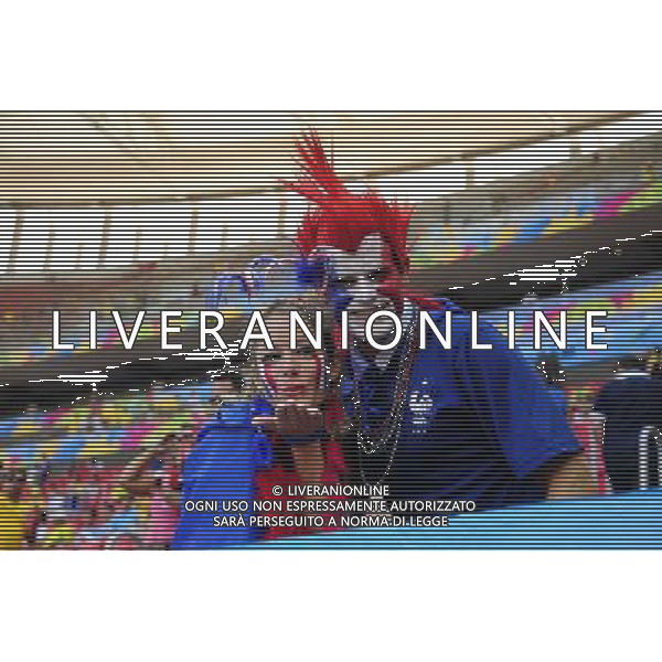 Supporters France - 30.06.2014 - France / Nigeria - 1/8Finale - Coupe du Monde 2014 -Brasilia Photo : Dave Winter / Icon Sport *** Local Caption *** AG ALDO LIVERANI SAS ONLY ITALY *** Local Caption *** AG ALDO LIVERANI SAS ONLY ITALY