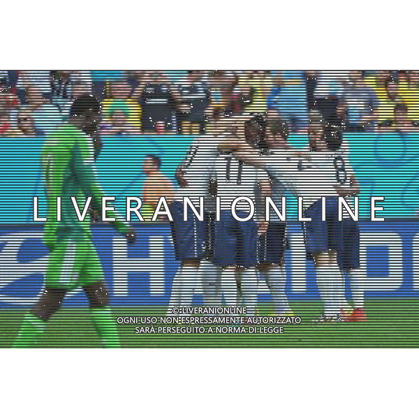 Joie France - Paul POGBA - 30.06.2014 - France / Nigeria - 1/8Finale - Coupe du Monde 2014 -Brasilia Photo : Dave Winter / Icon Sport *** Local Caption *** AG ALDO LIVERANI SAS ONLY ITALY *** Local Caption *** AG ALDO LIVERANI SAS ONLY ITALY