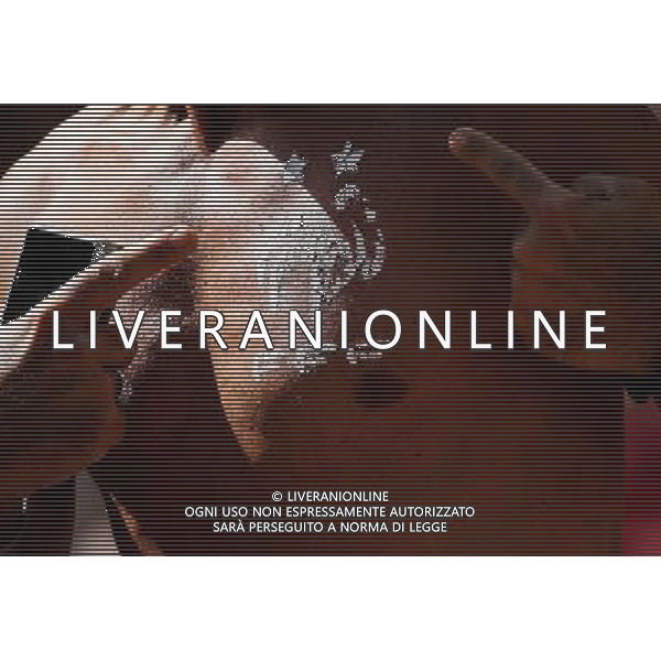 (140630) -- BRASILIA, June 30, 2014 () -- A France\'s fan shows the symbol of French Football Federation on his chest before a Round of 16 match between France and Nigeria of 2014 FIFA World Cup at the Estadio Nacional Stadium in Brasilia, Brazil, on June 30, 2014. (/Li Ming)(rh) ©photoshot/Agenzia Aldo Liverani sas - ITALY ONLY - EDITORIAL USE ONLY - Francia v Nigeria Coppa del Mondo FIFA 2014 Nacional stadio Estadio in Brasilia, Brasile, 30 giugno 2014