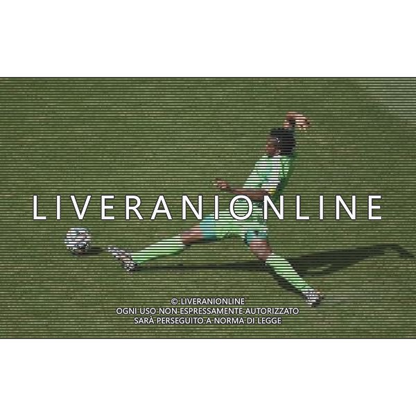 (140630) -- BRASILIA, June 30, 2014 () -- Nigeria\'s Joseph Yobo vies for the ball during a Round of 16 match between France and Nigeria of 2014 FIFA World Cup at the Estadio Nacional Stadium in Brasilia, Brazil, on June 30, 2014. (/Liu Dawei)(rh) ©photoshot/Agenzia Aldo Liverani sas - ITALY ONLY - EDITORIAL USE ONLY - Francia v Nigeria Coppa del Mondo FIFA 2014 Nacional stadio Estadio in Brasilia, Brasile, 30 giugno 2014