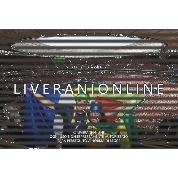 (140630) -- BRASILIA, June 30, 2014 () -- France\'s fans pose during a Round of 16 match between France and Nigeria of 2014 FIFA World Cup at the Estadio Nacional Stadium in Brasilia, Brazil, on June 30, 2014. (/Liu Dawei)(rh) ©photoshot/Agenzia Aldo Liverani sas - ITALY ONLY - EDITORIAL USE ONLY - Francia v Nigeria Coppa del Mondo FIFA 2014 Nacional stadio Estadio in Brasilia, Brasile, 30 giugno 2014