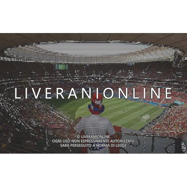 (140630) -- BRASILIA, June 30, 2014 () -- A France\'s fan watches a Round of 16 match between France and Nigeria of 2014 FIFA World Cup at the Estadio Nacional Stadium in Brasilia, Brazil, on June 30, 2014. (/Liu Dawei)(rh) ©photoshot/Agenzia Aldo Liverani sas - ITALY ONLY - EDITORIAL USE ONLY - Francia v Nigeria Coppa del Mondo FIFA 2014 Nacional stadio Estadio in Brasilia, Brasile, 30 giugno 2014