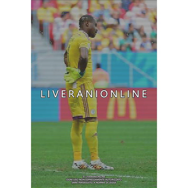 Deception Vincent ENYEAMA - 30.06.2014 - France / Nigeria - 1/8Finale - Coupe du Monde 2014 -Brasilia Photo : Dave Winter / Icon Sport *** Local Caption *** /Agenzia Aldo Liverani sas - ONLY ITALY - Francia v Nigeria Coppa del Mondo FIFA 2014 Nacional stadio Estadio in Brasilia, Brasile, 30 giugno 2014 *** Local Caption *** /Agenzia Aldo Liverani sas - ONLY ITALY - Francia v Nigeria Coppa del Mondo FIFA 2014 Nacional stadio Estadio in Brasilia, Brasile, 30 giugno 2014