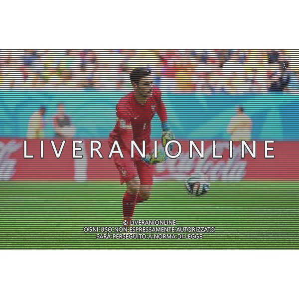 Hugo LLORIS - 30.06.2014 - France / Nigeria - 1/8Finale - Coupe du Monde 2014 -Brasilia Photo : Dave Winter / Icon Sport *** Local Caption *** /Agenzia Aldo Liverani sas - ONLY ITALY - Francia v Nigeria Coppa del Mondo FIFA 2014 Nacional stadio Estadio in Brasilia, Brasile, 30 giugno 2014 *** Local Caption *** /Agenzia Aldo Liverani sas - ONLY ITALY - Francia v Nigeria Coppa del Mondo FIFA 2014 Nacional stadio Estadio in Brasilia, Brasile, 30 giugno 2014