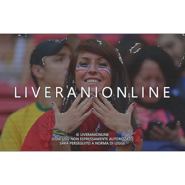 Supporters France - 30.06.2014 - France / Nigeria - 1/8Finale - Coupe du Monde 2014 -Brasilia Photo : Dave Winter / Icon Sport *** Local Caption *** /Agenzia Aldo Liverani sas - ONLY ITALY - Francia v Nigeria Coppa del Mondo FIFA 2014 Nacional stadio Estadio in Brasilia, Brasile, 30 giugno 2014 *** Local Caption *** /Agenzia Aldo Liverani sas - ONLY ITALY - Francia v Nigeria Coppa del Mondo FIFA 2014 Nacional stadio Estadio in Brasilia, Brasile, 30 giugno 2014