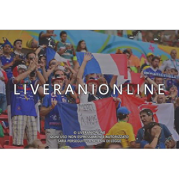 Supporters France - 30.06.2014 - France / Nigeria - 1/8Finale - Coupe du Monde 2014 -Brasilia Photo : Dave Winter / Icon Sport *** Local Caption *** /Agenzia Aldo Liverani sas - ONLY ITALY - Francia v Nigeria Coppa del Mondo FIFA 2014 Nacional stadio Estadio in Brasilia, Brasile, 30 giugno 2014 *** Local Caption *** /Agenzia Aldo Liverani sas - ONLY ITALY - Francia v Nigeria Coppa del Mondo FIFA 2014 Nacional stadio Estadio in Brasilia, Brasile, 30 giugno 2014