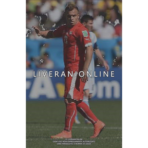 FIFA World Cup Brasile 2014 Ottavi di Finale San Paolo - 01.07.2014 Argentina-Svizzera Nella Foto:Shaqiri /Ph.Vitez-Ag. Aldo Liverani