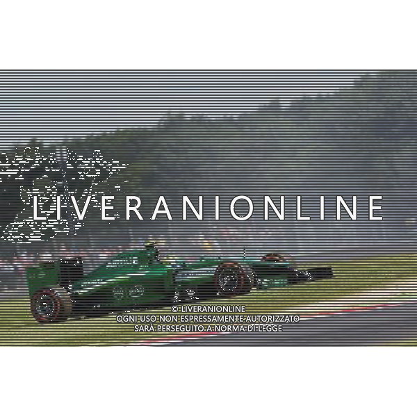 Marcus Ericsson (SWE) Caterham CT05 spins and stops during FP1. 04.07.2014. Formula 1 World Championship, Rd 9, British Grand Prix, Silverstone, England, Practice Day. - www.xpbimages.com, EMail: requests@xpbimages.com - copy of publication required for printed pictures. Every used picture is fee-liable. © Copyright: Moy / XPB Images /Agenzia Aldo Liverani sas - ITALY ONLY - Gp F1 Prove Libere Silverstone, Inghilterra