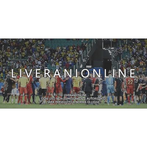 (140701) -- SALVADOR, July 1, 2014 () -- Belgium\'s team celebrates their victory after a Round of 16 match between Belgium and the U.S. of 2014 FIFA World Cup at the Arena Fonte Nova Stadium in Salvador, Brazil, on July 1, 2014. Belgium won 2-1 over the U.S. after 120 minutes and qualified for quarter-finals on Tuesday. (/Lui Siu Wai)(pcy) ©PHOTOSHOT /Agenzia Aldo Liverani sas - ITALY ONLY - EDITORIAL USE ONLY ©PHOTOSHOT/Agenzia Aldo Liverani sas - ITALY ONLY - EDITORIAL USE ONLY