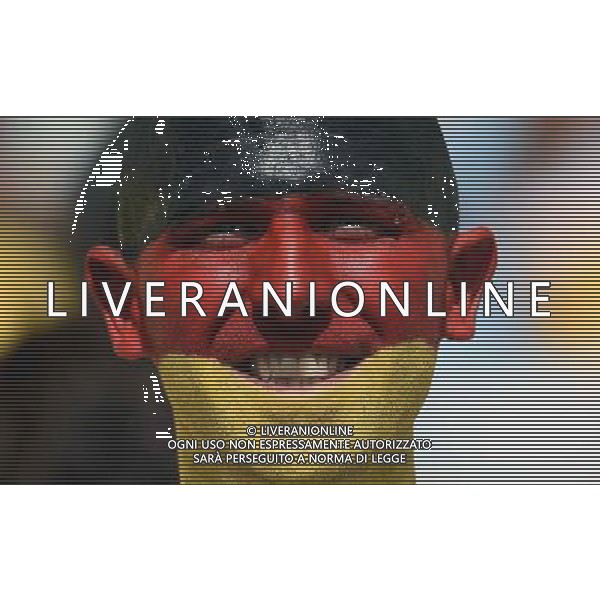 FIFA World Cup Brasile 2014 Quarti di Finale Rio de Janeiro - 04.07.2014 Francia-Germania Nella Foto:TIFOSI /Ph.Vitez-Ag. Aldo Liverani