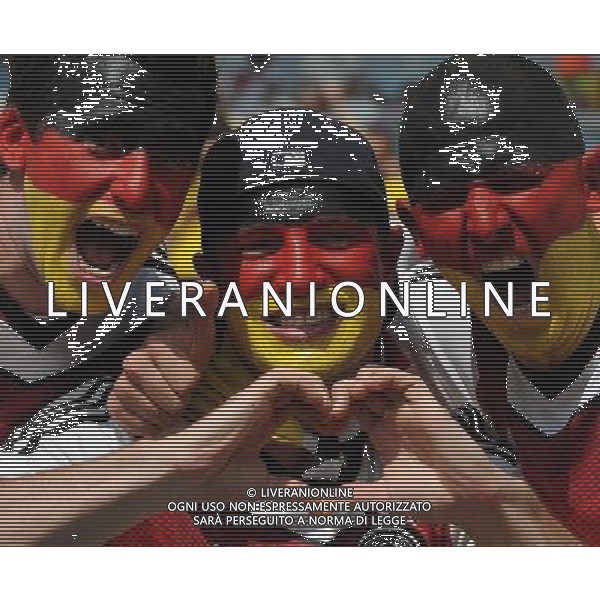 FIFA World Cup Brasile 2014 Quarti di Finale Rio de Janeiro - 04.07.2014 Francia-Germania Nella Foto:TIFOSI /Ph.Vitez-Ag. Aldo Liverani