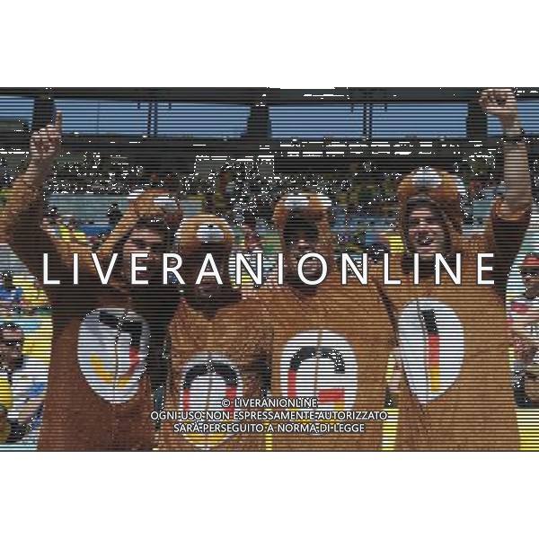 FIFA World Cup Brasile 2014 Quarti di Finale Rio de Janeiro - 04.07.2014 Francia-Germania Nella Foto:TIFOSI /Ph.Vitez-Ag. Aldo Liverani