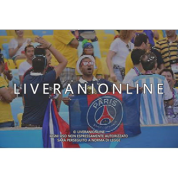 Supporters France - 04.07.2014 - France / Allemagne - 1/4Finale Coupe du Monde 2014 -Rio de Janeiro- Photo : Dave Winter / Icon Sport AG ALDO LIVERANI SAS ONLY ITALY