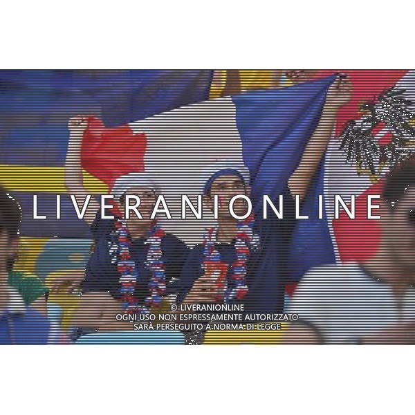 Supporters France - 04.07.2014 - France / Allemagne - 1/4Finale Coupe du Monde 2014 -Rio de Janeiro- Photo : Dave Winter / Icon Sport AG ALDO LIVERANI SAS ONLY ITALY