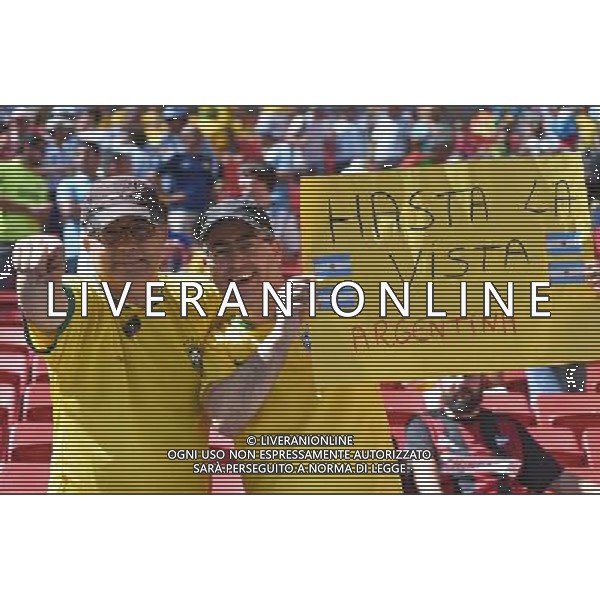 KIBICE REPREZENTACJI BRAZYLII 2014.07.05 ESTADIO NATIONAL DE BRASILIA GARRINCHA BRAZYLIA PILKA NOZNA MISTRZOSTWA SWIATA FIFA WORLD CUP 2014 KADRA REPREZENTACJA ARGENTYNA - BELGIA FOTO PAULA DUDA / PRESSFOCUS/NEWSPIX.PL --- Newspix.pl AG ALDOL IVERANI SAS ONLY ITALY *** Local Caption *** www.newspix.pl mail us: info@newspix.pl call us: 0048 022 23 22 222 --- Polish Picture Agency by Ringier Axel Springer Poland