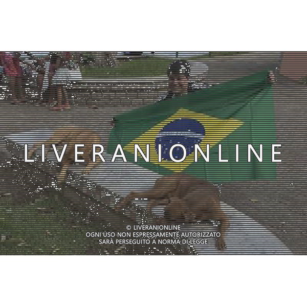 (140705) -- SALVADOR, July 5, 2014 () -- A football fan poses with his dogs outside the Arena Fonte Nova Stadium prior to a quarter-finals match between Netherlands and Costa Rica of 2014 FIFA World Cup in Salvador, Brazil, on July 5, 2014. (/Guillermo Arias)(xzj) ©photoshot/Agenzia Aldo Liverani sas - ITALY ONLY - EDITORIAL USE ONLY - Olanda vs Costa Rica partita di quarti di finale Coppa del mondo FIFA 2014 in Salvador, in Brasile, il 5 luglio 2014.