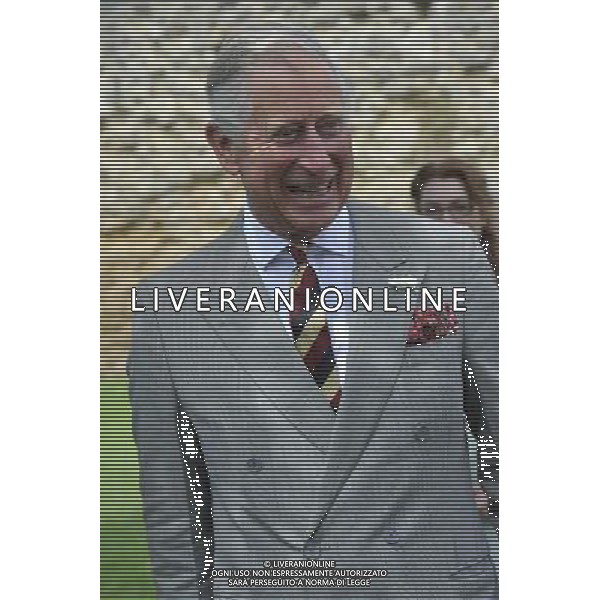 The Prince of Wales visited Glastonbury Abbey to view the spectacular ruins which sit in the shadow of the Grade I listed Tor, and meet those involved with the conservation of the Lady Chapel His Royal Highness also attended a reception with representatives from the local tourism industry and VisitEngland to hear about the revival of Somerset\'stourism offering following the floods. AG ALDO LIVERANI SAS ONLY ITALY