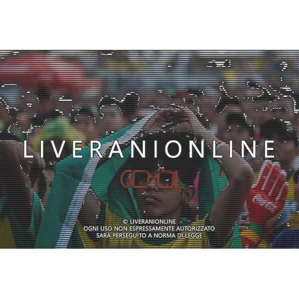 (140708) -- BRASILIA, July 08, 2014 () -- A Brazil\'s fan reacts while watching a semifinal match between Brazil and Germany of 2014 FIFA World Cup at the FIFA Fan Fest area in Brasilia, Brazil, on July 08, 2014. (/Jhon Paz) ©PHOTOSHOT/Agenzia Aldo Liverani sas - ITALY ONLY - EDITORIAL USE ONLY - BRASILE VS GERMANIA partita di semifinale Coppa del mondo FIFA 2014 Mineirao stadio Estadio a Belo Horizonte, in Brasile, 8 luglio 2014, la Germania ha vinto 7-1 e qualificato per la finale