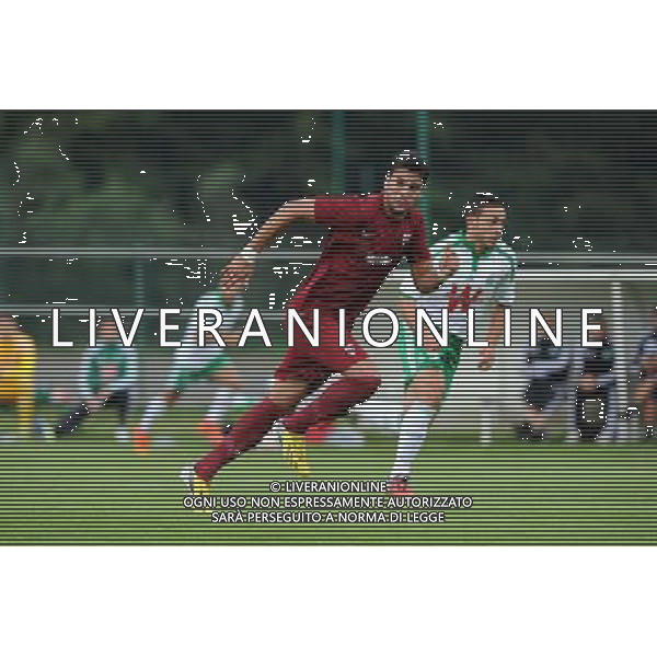JOSE LUIS PALOMINO - 11.07.2014 - Saint Etienne / Metz - match amical - Ligue 1 2014/2015 Photo : Jean Paul Thomas / Icon Sport /Agenzia Aldo Liverani sas - ITALY ONLY - EDITORIAL USE ONLY