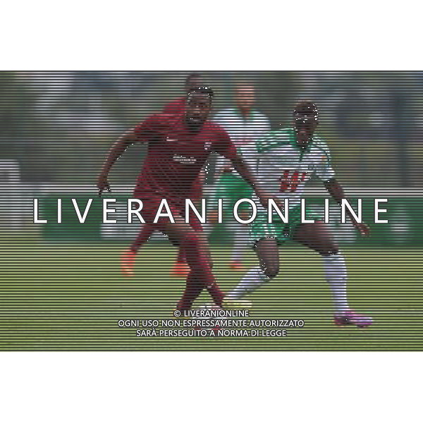 Romain METANIRE - 11.07.2014 - Saint Etienne / Metz - match amical - Ligue 1 2014/2015 Photo : Jean Paul Thomas / Icon Sport /Agenzia Aldo Liverani sas - ITALY ONLY - EDITORIAL USE ONLY