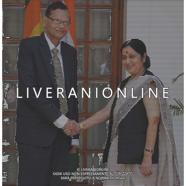 (140711) -- NEW DELHI, July 11, 2014 () -- Indian Minister of External Affairs Sushma Swaraj (R) shakes hands with her Sri Lankan counterpart Gamini Lakshman Peiris before a meeting at Hyderabad house in New Delhi, India, July 11, 2014. (/Partha Sarkar) ©photoshot/Agenzia Aldo Liverani sas - ITALY ONLY - EDITORIAL USE ONLY - Il ministro indiano degli Affari Esteri Sushma Swaraj con il suo omologo dello Sri Lanka Gamini Lakshman Peiris prima di un incontro a New Delhi, India, 11 luglio 2014