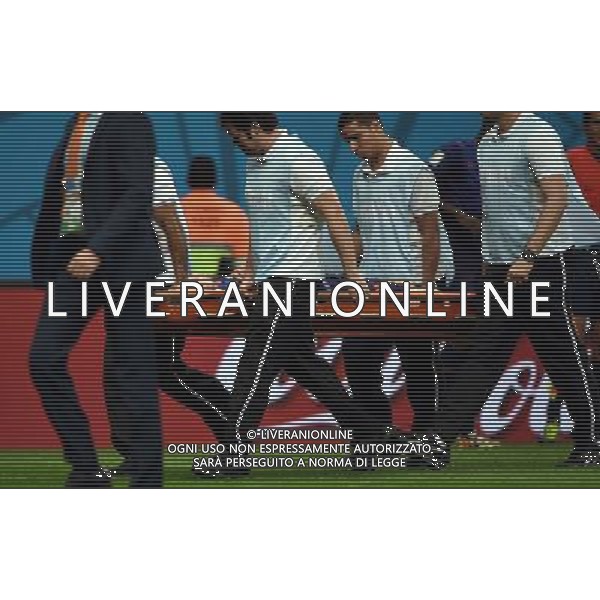 (140712) -- BRASILIA, July 12, 2014 () -- Netherlands\' Daley Blind is carried out of the pitch during the third place play-off match between Brazil and Netherlands of 2014 FIFA World Cup at the Estadio Nacional Stadium in Brasilia, Brazil, on July 12, 2014.(/Guo Yong)(pcy) AG ALDO LIVERANI SAS ONLY ITALY