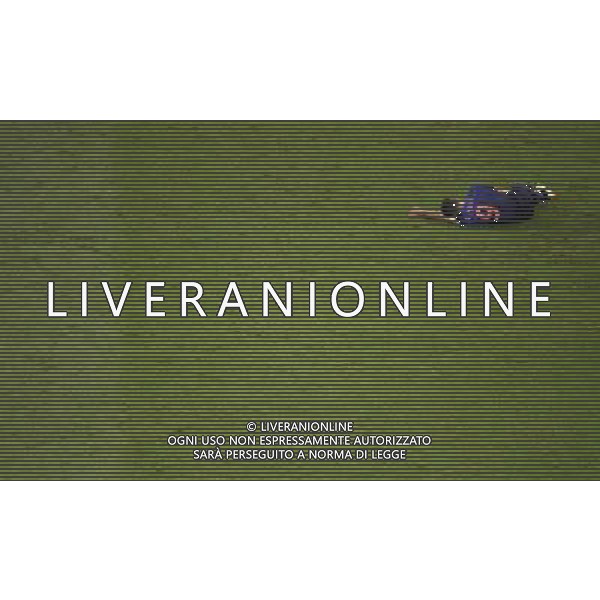 (140712) -- BRASILIA, July 12, 2014 () -- Netherlands\' Robin van Persie lies on the pitch during the third place play-off match between Brazil and Netherlands of 2014 FIFA World Cup at the Estadio Nacional Stadium in Brasilia, Brazil, on July 12, 2014. Netherlands won 3-0 over Brazil and took the third place of the tournament on Saturday. (/Lui Siu Wai)(pcy) AG ALDO LIVERANI SAS ONLY ITALY