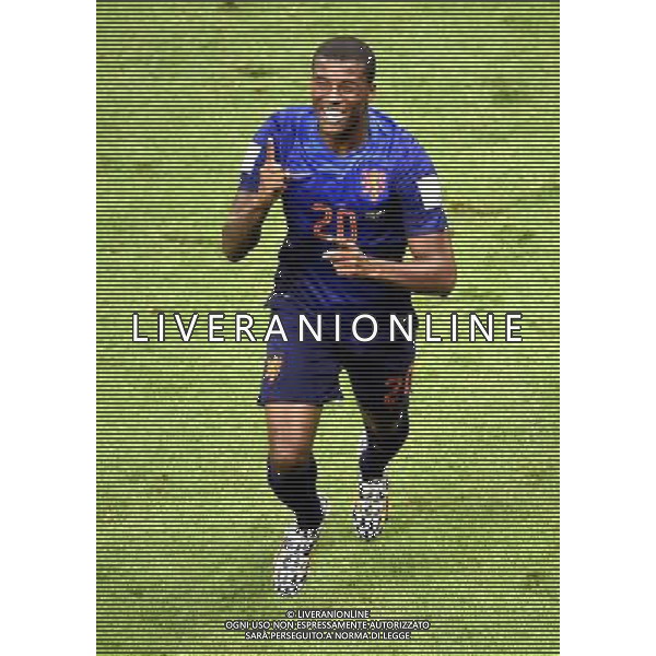 (140712) -- BRASILIA, July 12, 2014 () -- Netherlands\' Georginio Wijnaldum celebrates after scoring a goal during the third place play-off match between Brazil and Netherlands of 2014 FIFA World Cup at the Estadio Nacional Stadium in Brasilia, Brazil, on July 12, 2014. Netherlands won 3-0 over Brazil and took the third place of the tournament on Saturday. (/Lui Siu Wai)(pcy) AG ALDO LIVERANI SAS ONLY ITALY