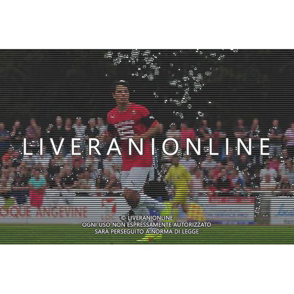 Philipp HOSINER - 12.07.2014 - Rennes / Angers - Match amical - 2014/2015 Photo : Philippe LeBrech / Icon Sport *** Local Caption *** /Agenzia Aldo Liverani sas - ITALY ONLY - EDITORIAL USE ONLY *** Local Caption *** /Agenzia Aldo Liverani sas - ITALY ONLY - EDITORIAL USE ONLY