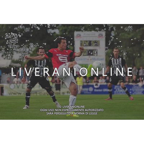 Philipp HOSINER - 12.07.2014 - Rennes / Angers - Match amical - 2014/2015 Photo : Philippe LeBrech / Icon Sport *** Local Caption *** /Agenzia Aldo Liverani sas - ITALY ONLY - EDITORIAL USE ONLY *** Local Caption *** /Agenzia Aldo Liverani sas - ITALY ONLY - EDITORIAL USE ONLY
