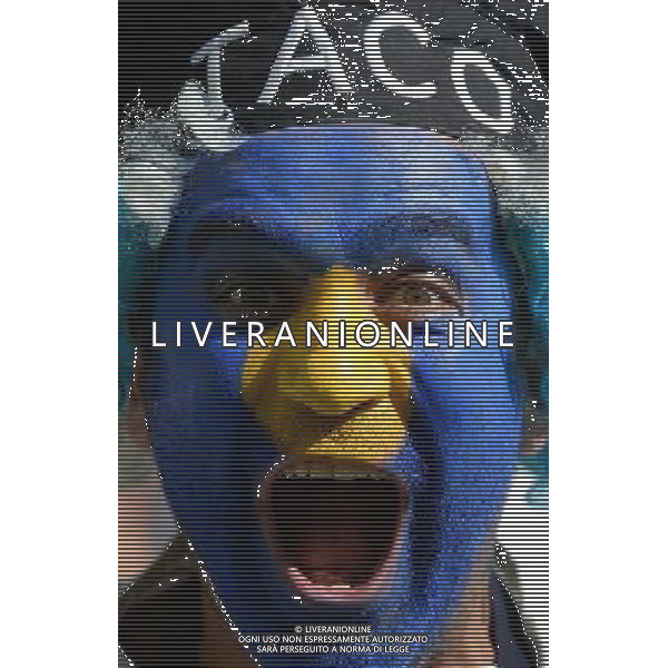 FIFA World Cup Brasile 2014 Finale Rio de Janeiro - 13.07.2014 Germania-Argentina Nella Foto:tifosi /Ph.Vitez-Ag. Aldo Liverani