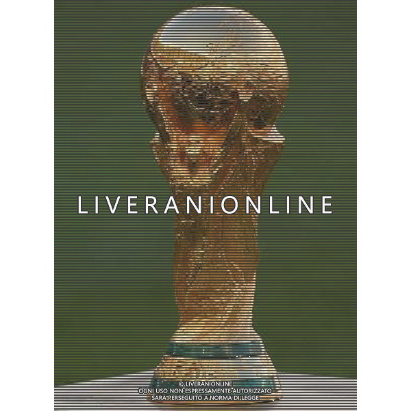 FIFA World Cup Brasile 2014 Finale Rio de Janeiro - 13.07.2014 Germania-Argentina Nella Foto:Coppa /Ph.Vitez-Ag. Aldo Liverani