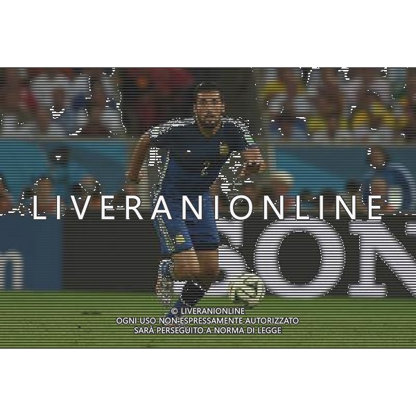 FIFA World Cup Brasile 2014 Finale Rio de Janeiro - 13.07.2014 Germania-Argentina Nella Foto:Garay Ezequiel /Ph.Vitez-Ag. Aldo Liverani