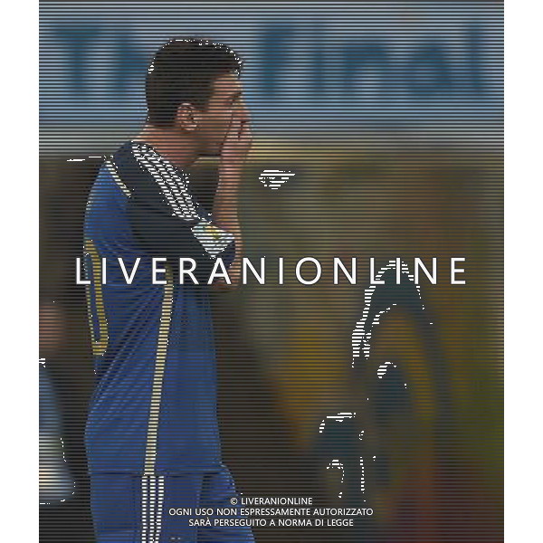 FIFA World Cup Brasile 2014 Finale Rio de Janeiro - 13.07.2014 Germania-Argentina Nella Foto:Messi Lionel /Ph.Vitez-Ag. Aldo Liverani