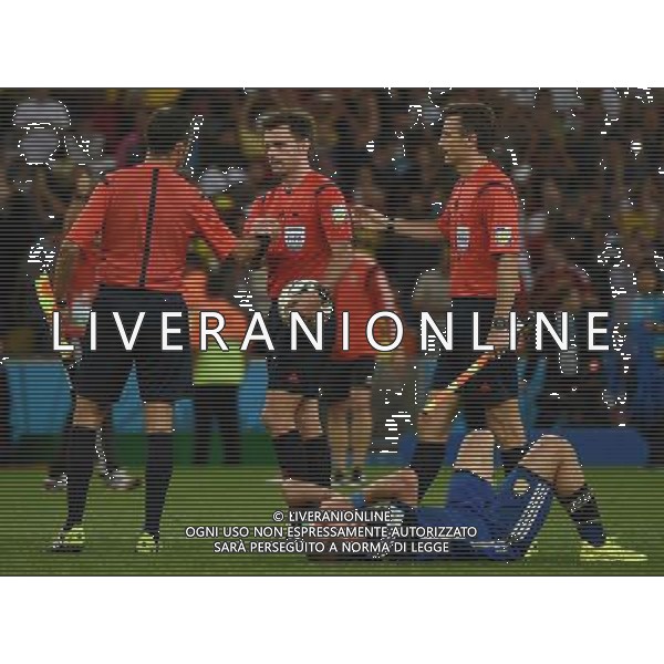 FIFA World Cup Brasile 2014 Finale Rio de Janeiro - 13.07.2014 Germania-Argentina Nella Foto:Rizzoli Nicola /Ph.Vitez-Ag. Aldo Liverani