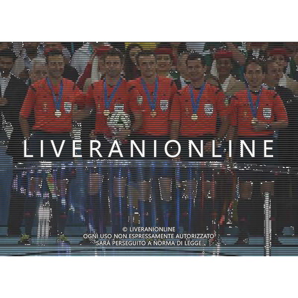 FIFA World Cup Brasile 2014 Finale Rio de Janeiro - 13.07.2014 Germania-Argentina Nella Foto:Rizzoli Nicola /Ph.Vitez-Ag. Aldo Liverani