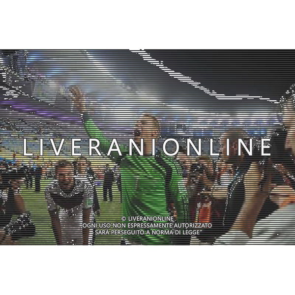 Victoire Allemagne - Champion du Monde - Manuel NEUER- 13.07.2014 - Argentine / Allemagne - Finale Coupe du Monde 2014 -Rio de Janeiro- Photo : Dave Winter / Icon Sport /Agenzia Aldo Liverani sas - ITALY ONLY - Germania - Argentina Finale FIFA World Cup Brasile 2014 Rio de Janeiro - 13.07.2014