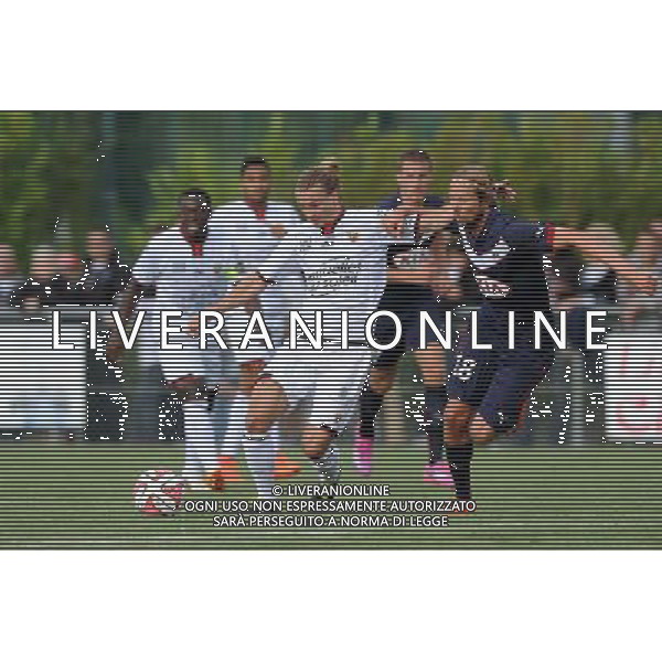 Niklas HULT / Jaroslav PLASIL - 12.07.2014 - Bordeaux / Nice - match de preparation - Ligue 1 -Divonne les Bains Photo : Jean Paul Thomas / Icon Sport /Agenzia Aldo Liverani sas - ITALY ONLY - EDITORIAL USE ONLY