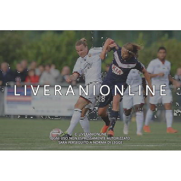 Niklas HULT / Jaroslav PLASIL - 12.07.2014 - Bordeaux / Nice - match de preparation - Ligue 1 -Divonne les Bains Photo : Jean Paul Thomas / Icon Sport /Agenzia Aldo Liverani sas - ITALY ONLY - EDITORIAL USE ONLY