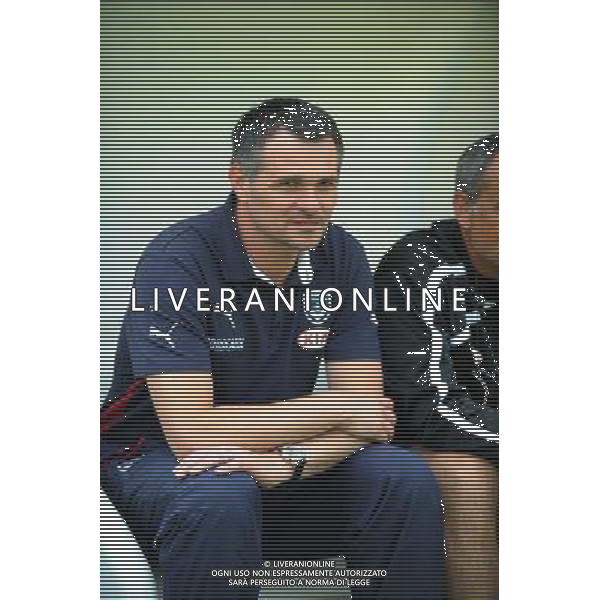 Willy SAGNOL - 12.07.2014 - Bordeaux / Nice - match de preparation - Ligue 1 -Divonne les Bains Photo : Jean Paul Thomas / Icon Sport /Agenzia Aldo Liverani sas - ITALY ONLY - EDITORIAL USE ONLY