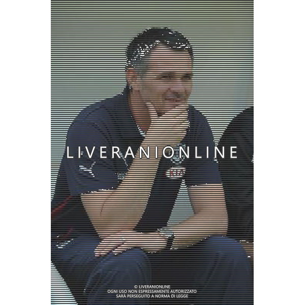 Willy SAGNOL - 12.07.2014 - Bordeaux / Nice - match de preparation - Ligue 1 -Divonne les Bains Photo : Jean Paul Thomas / Icon Sport /Agenzia Aldo Liverani sas - ITALY ONLY - EDITORIAL USE ONLY