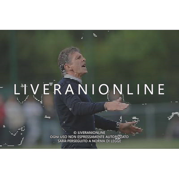 Claude PUEL - 12.07.2014 - Bordeaux / Nice - match de preparation - Ligue 1 -Divonne les Bains Photo : Jean Paul Thomas / Icon Sport /Agenzia Aldo Liverani sas - ITALY ONLY - EDITORIAL USE ONLY
