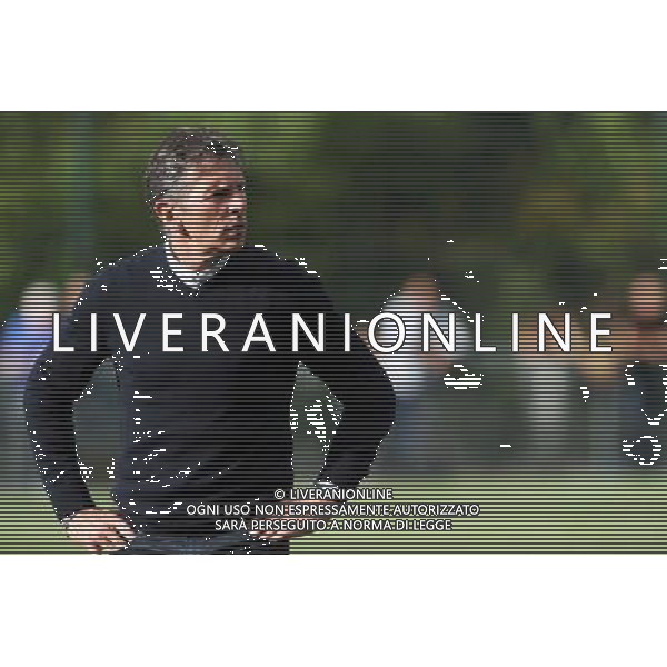 Claude PUEL - 12.07.2014 - Bordeaux / Nice - match de preparation - Ligue 1 -Divonne les Bains Photo : Jean Paul Thomas / Icon Sport /Agenzia Aldo Liverani sas - ITALY ONLY - EDITORIAL USE ONLY