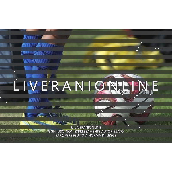 Illustration ballon - 12.07.2014 - Bordeaux / Nice - match de preparation - Ligue 1 -Divonne les Bains Photo : Jean Paul Thomas / Icon Sport /Agenzia Aldo Liverani sas - ITALY ONLY - EDITORIAL USE ONLY
