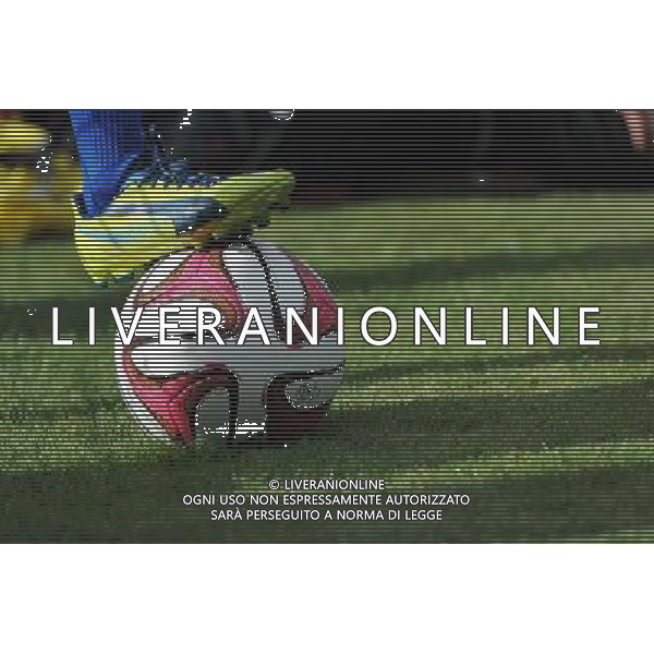 Illustration ballon - 12.07.2014 - Bordeaux / Nice - match de preparation - Ligue 1 -Divonne les Bains Photo : Jean Paul Thomas / Icon Sport /Agenzia Aldo Liverani sas - ITALY ONLY - EDITORIAL USE ONLY