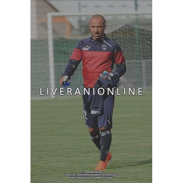Julien FAUBERT - 12.07.2014 - Bordeaux / Nice - match de preparation - Ligue 1 -Divonne les Bains Photo : Jean Paul Thomas / Icon Sport /Agenzia Aldo Liverani sas - ITALY ONLY - EDITORIAL USE ONLY