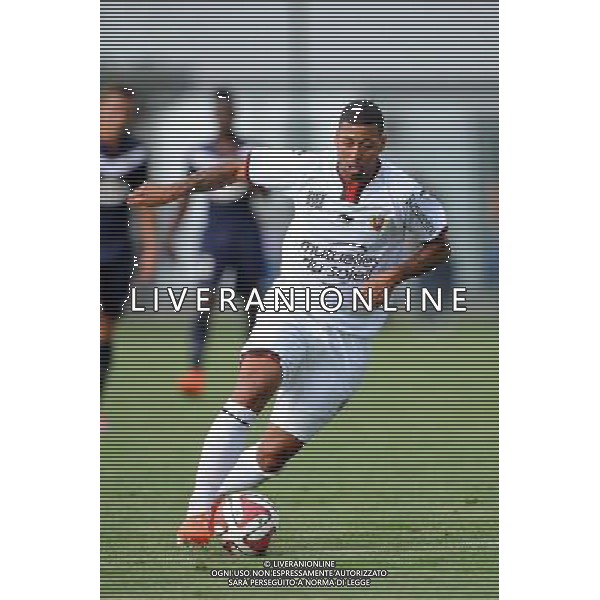 Lloyd PALUN - 12.07.2014 - Bordeaux / Nice - match de preparation - Ligue 1 -Divonne les Bains Photo : Jean Paul Thomas / Icon Sport /Agenzia Aldo Liverani sas - ITALY ONLY - EDITORIAL USE ONLY