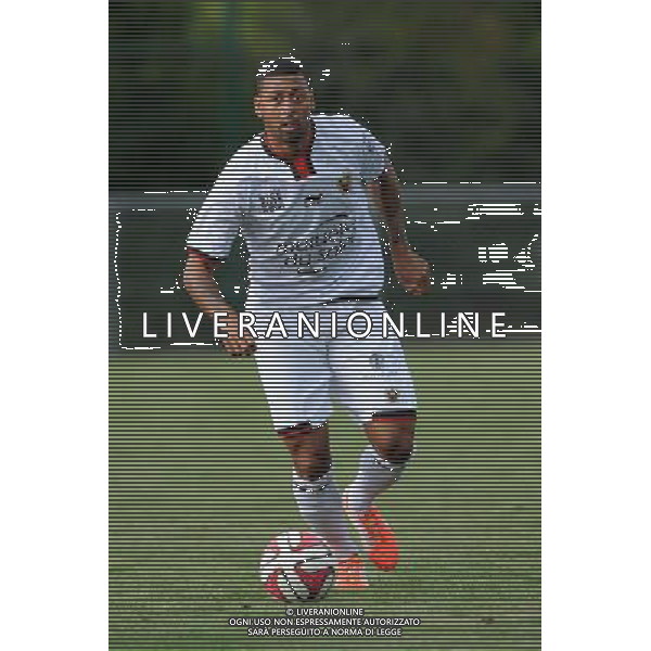 Lloyd PALUN - 12.07.2014 - Bordeaux / Nice - match de preparation - Ligue 1 -Divonne les Bains Photo : Jean Paul Thomas / Icon Sport /Agenzia Aldo Liverani sas - ITALY ONLY - EDITORIAL USE ONLY