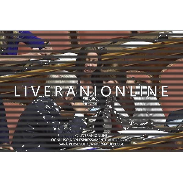 Senato 277a Seduta Pubblica Discussione dei disegni di legge costituzionale, Roma 14 luglio 2014 nella foto Paolo Romani con AnnaMaria Bernini Â©Corradetti/Agenzia Aldo Liverani sas