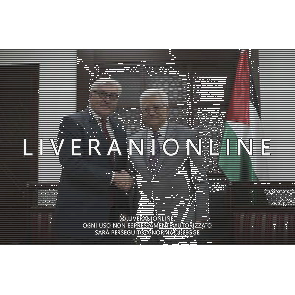 Palestinian president Mahmoud Abbas shake hands with German foreign minister Frank-Walter Steinmeier during their meeting in the West Bank city of Ramallah on July 15, 2014. (Xinhua/Fadi Arouri-POOL) AG ALDO LIVERANI SAS ONLY ITALY